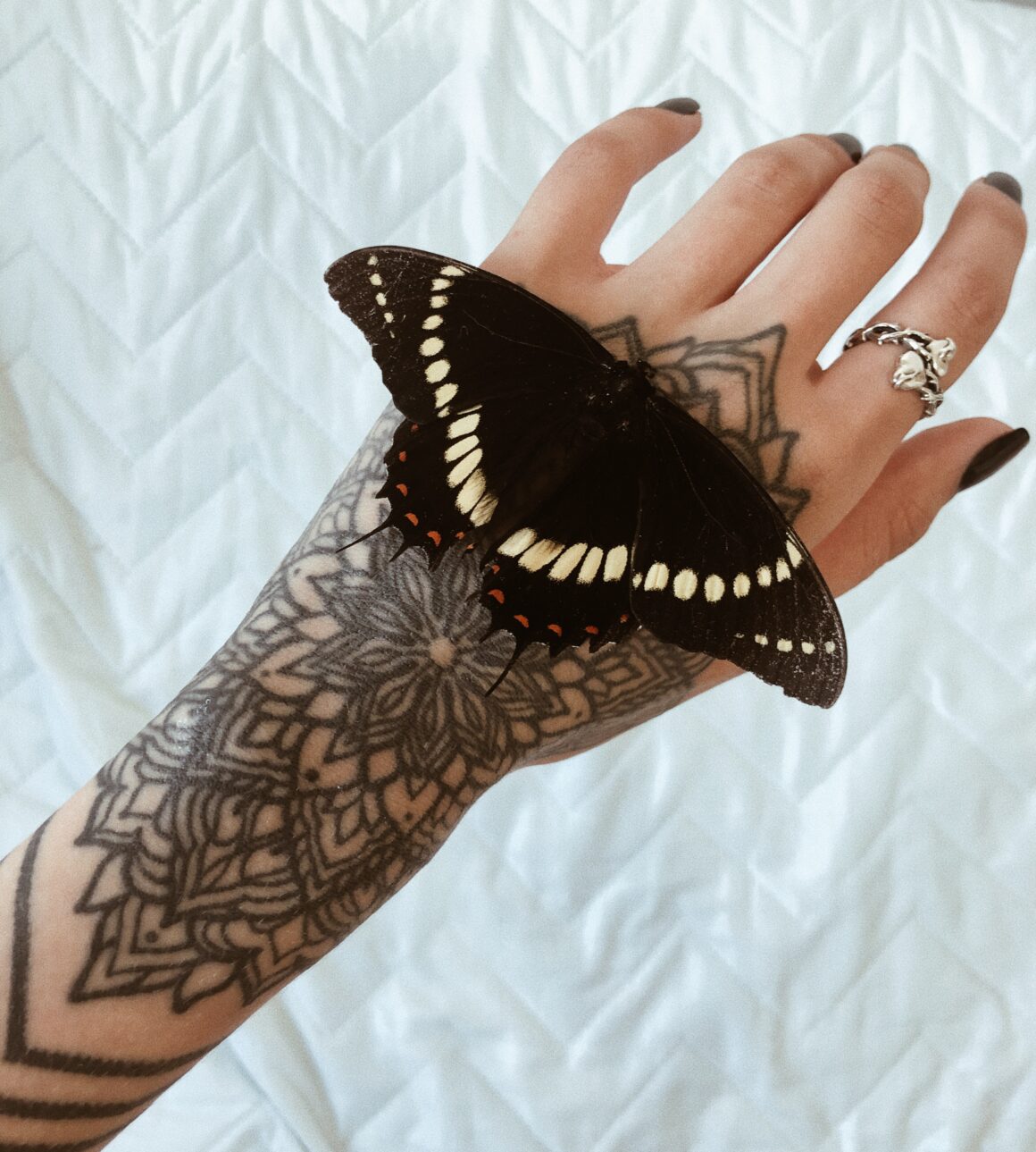 Duda tattoo model