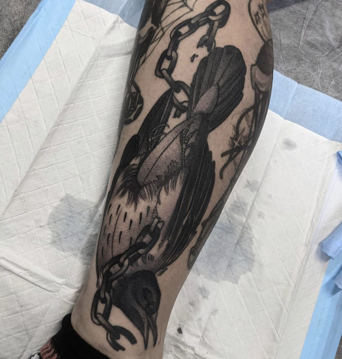 Lauren Melina, Private Studio, Fremantle, Australia
