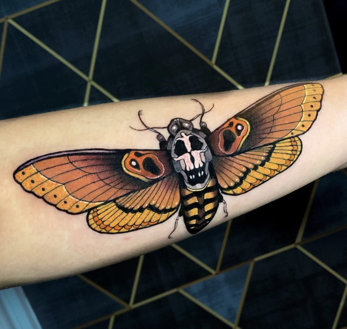 Moth  Tattooed Now 