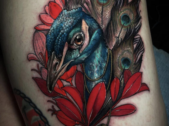 Shae Motz, Private Studio, Calgary, Canada