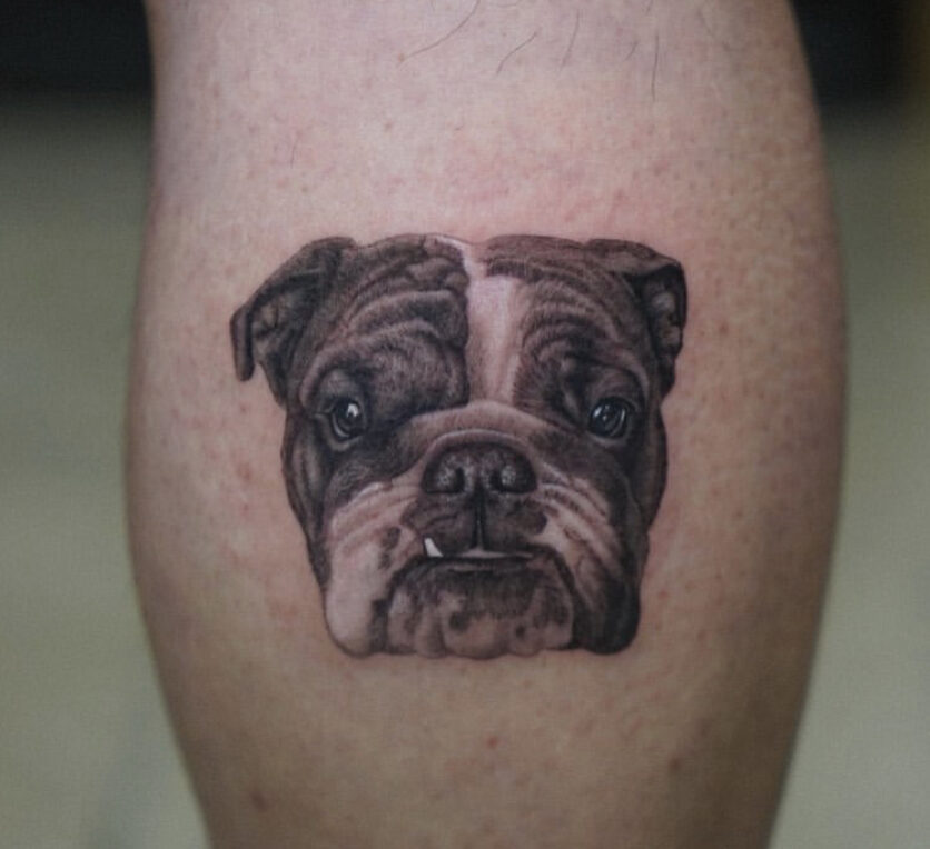 bulldog head tattoo by PPatrick on DeviantArt