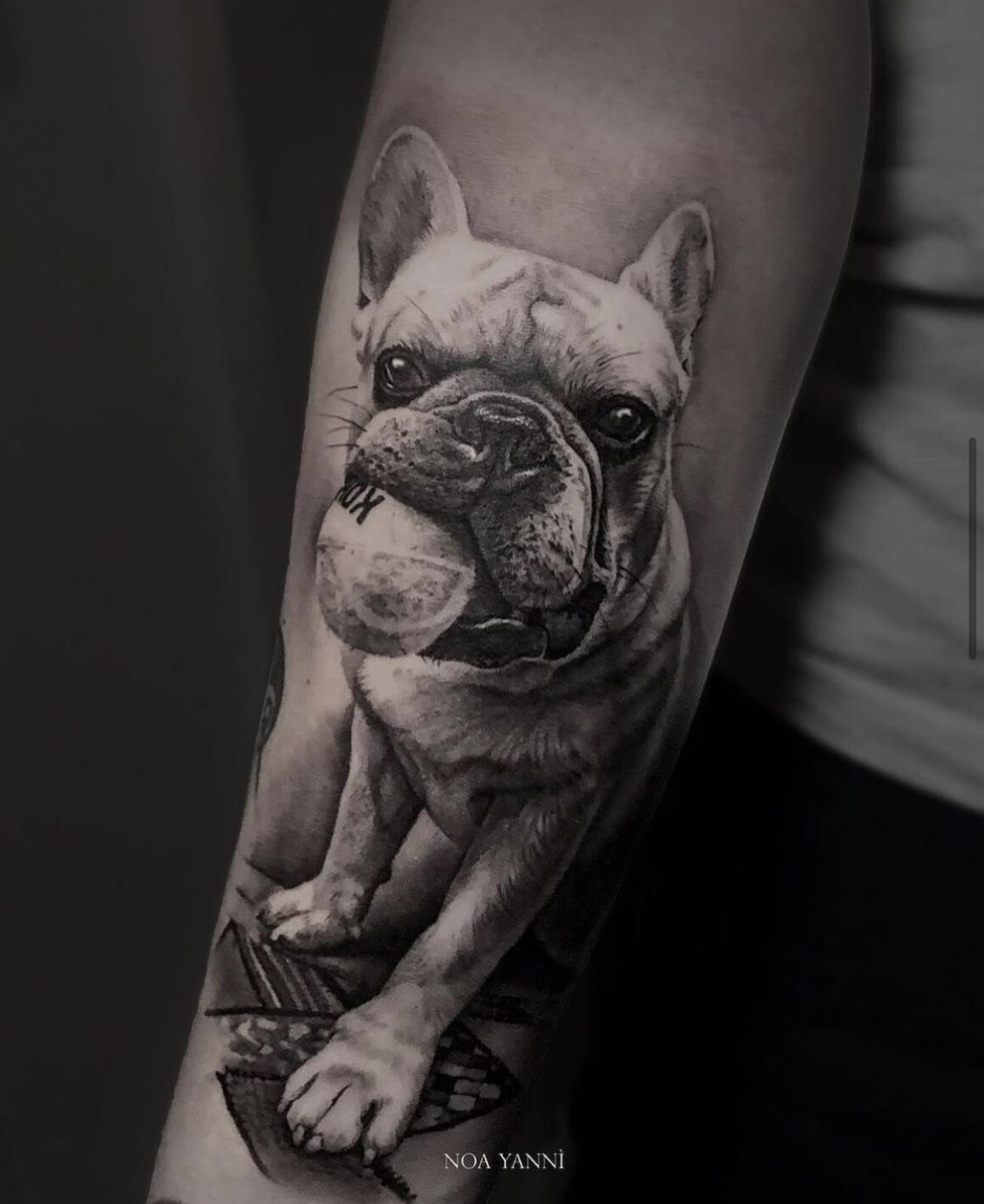 The 15 Cutest Dog Tattoo Ideas For French Bulldog Owners  PetPress