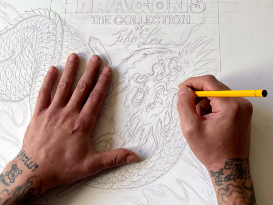 Dragons - The Collection by Filip Leu