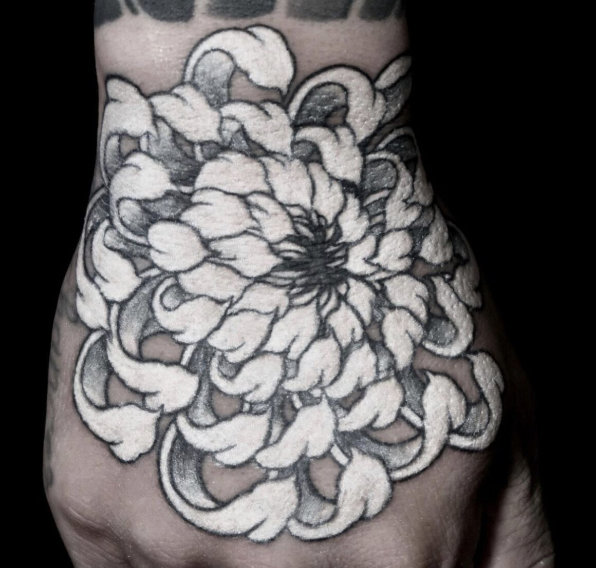 Blush Chrysanthemum Tattoo Design - Tattapic®