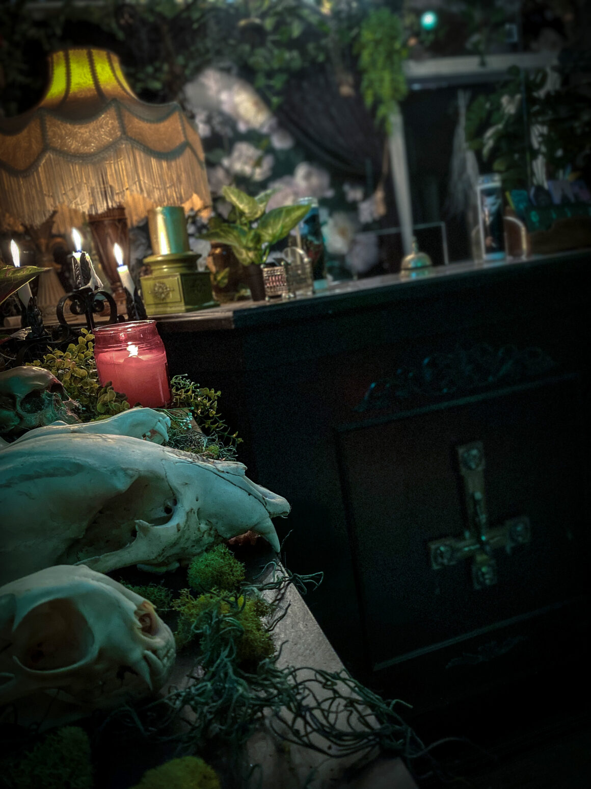 Helheim Gallery