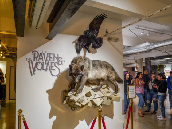 The Raven and The Wolves exhibition