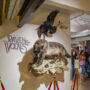 The Raven and The Wolves exhibition