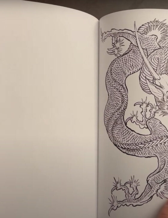 Dragons – The Collection By Filip Leu