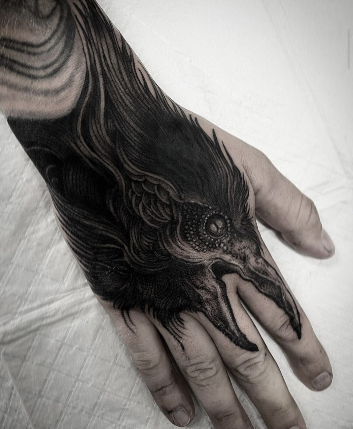 Willow Harrah on Instagram To add to Glenns extremely cool collection of  corvid tattoos a raven and a cicada dancing together Thank you Glenn  studio