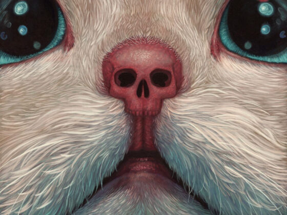 The Cats in Casey Weldon’s head
