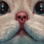The Cats in Casey Weldon’s head