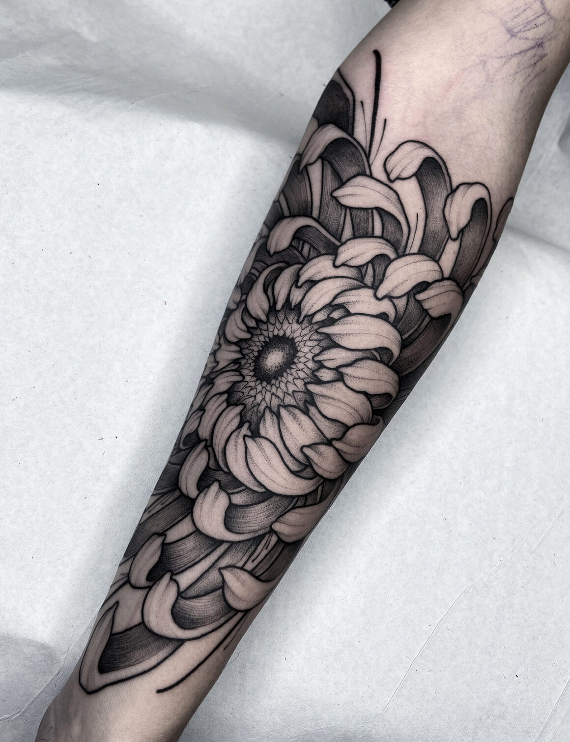 Tattoo by Barbara Tattooer, @barbara
