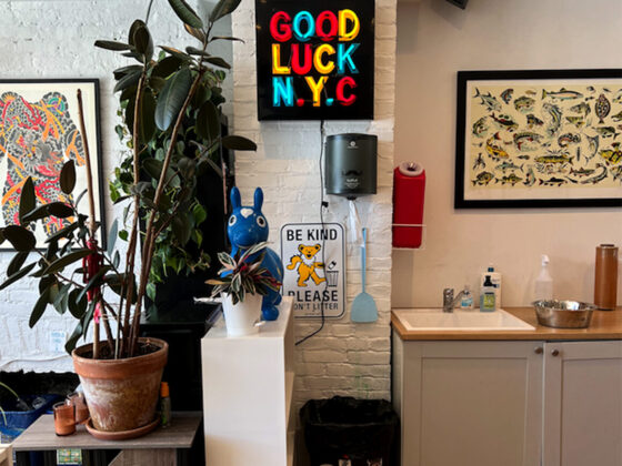 Welcome to the Good Luck NYC