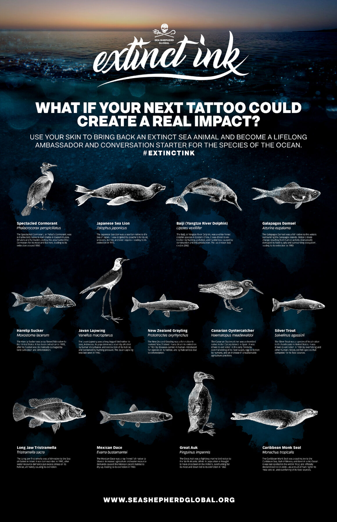 Affiche Sea Shepherd