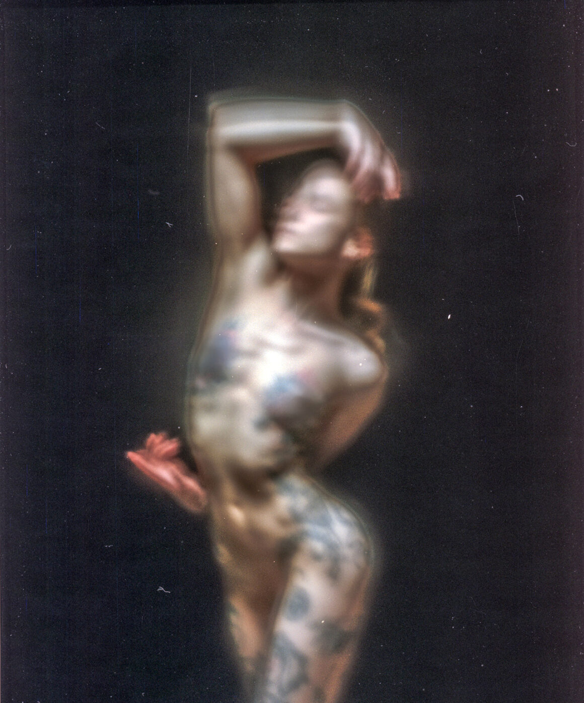 StelladiPlastica, photo by Sitri