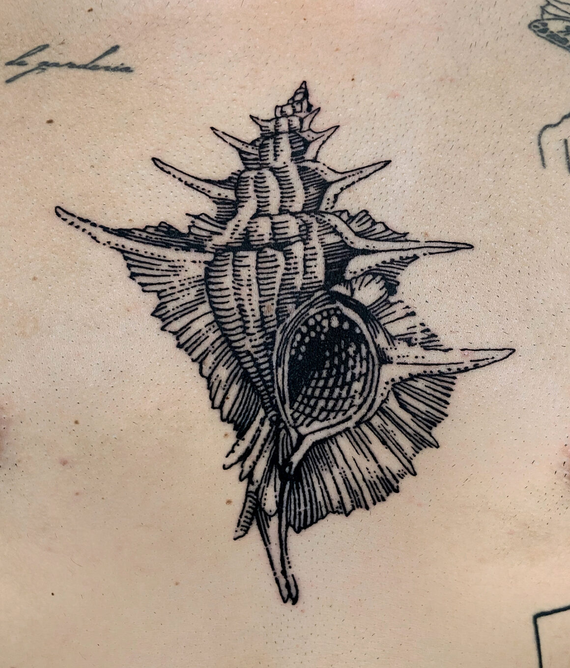 Tattoo by Kelly Rico, @kellyricotattoo