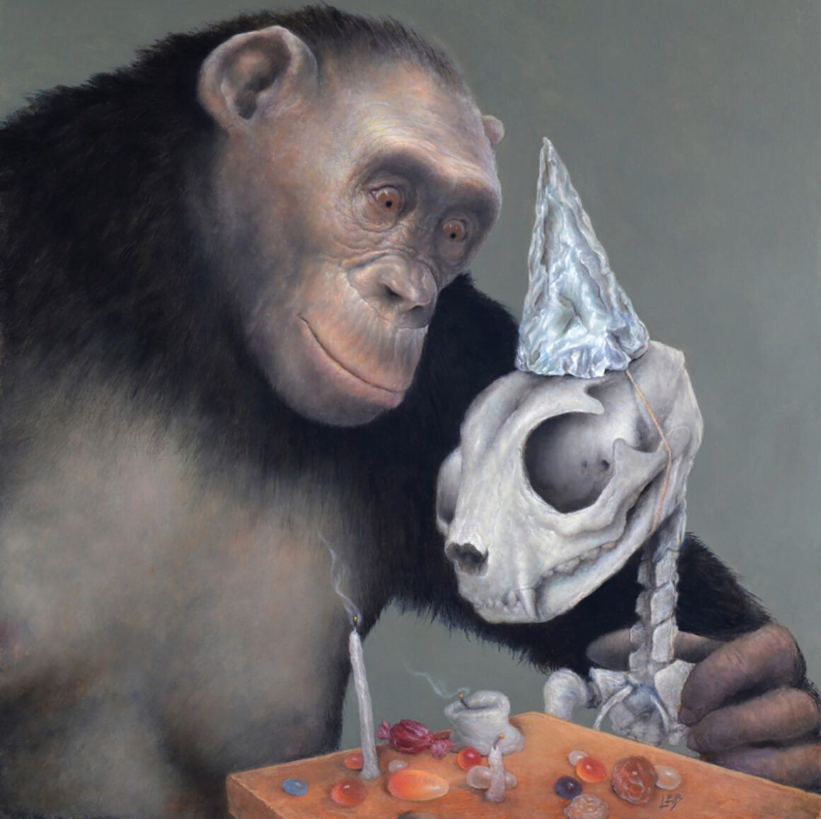 Hierachy the solo exhibition by Chris Leib