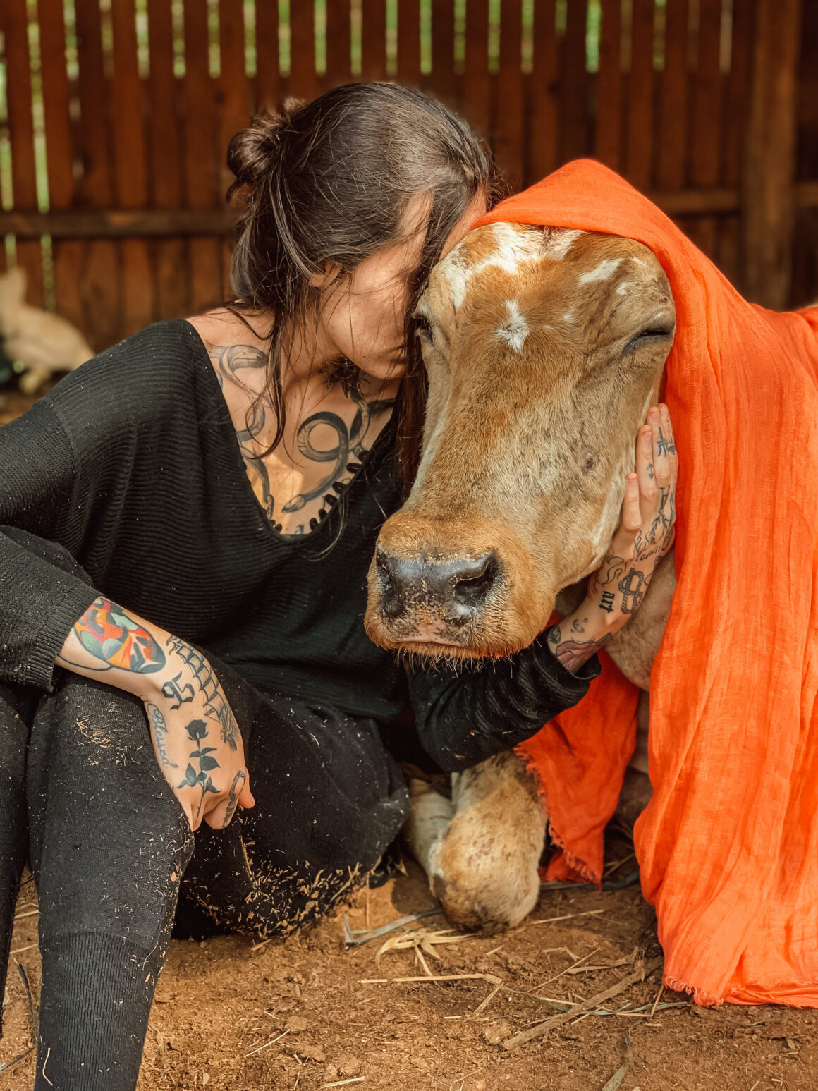 Deborah Rabelo, animal rights, @rabelo.de