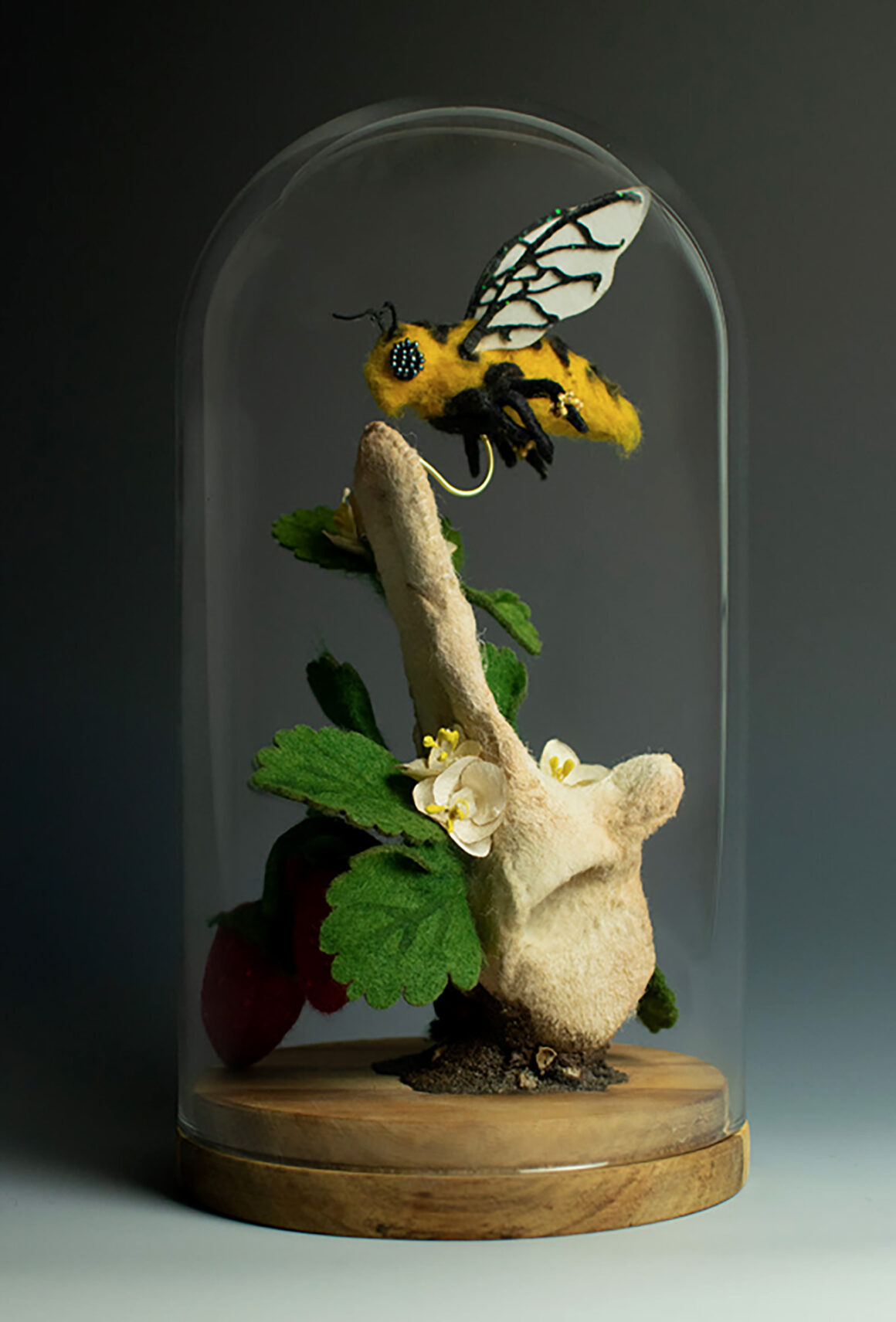 Lana Crooks, Harvest