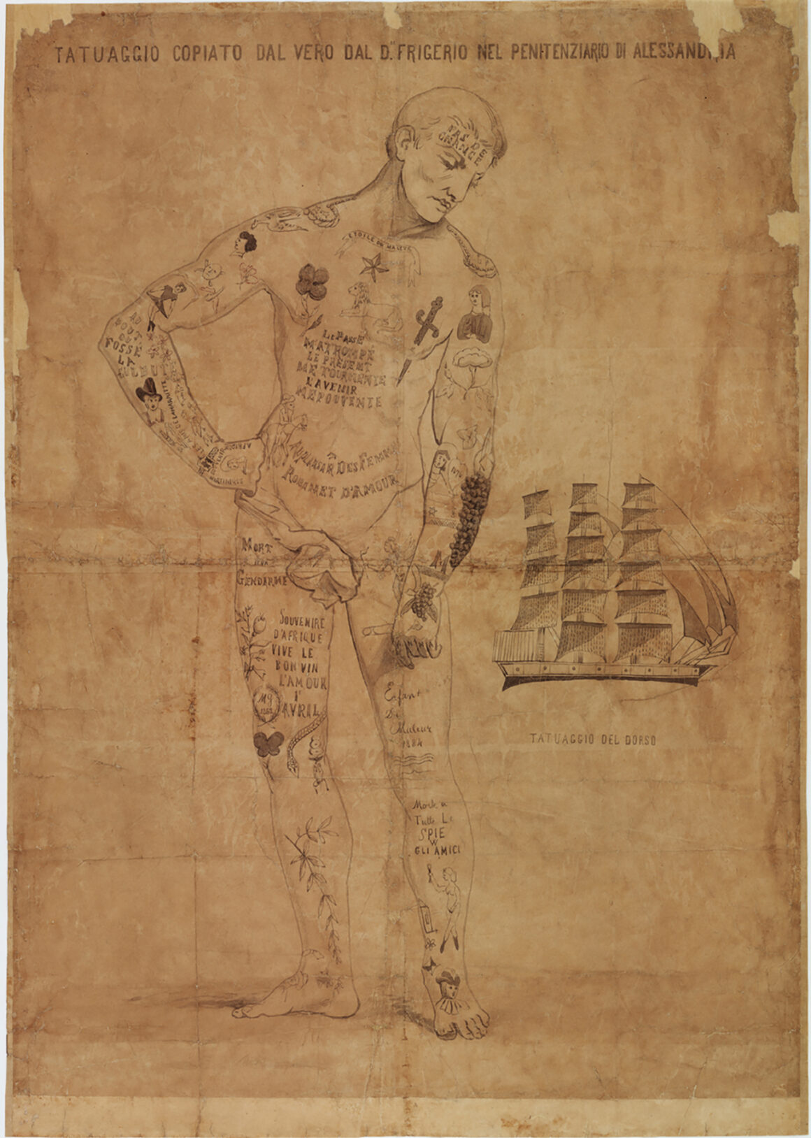 Dessin avec tatouages de Giovanni Mullé, Deuxième metà XIX ° secolo