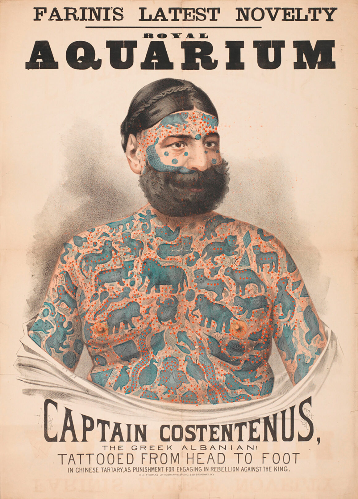 Affiche du capitaine Costentenus; Numéro d'image: 10.2307 / communit