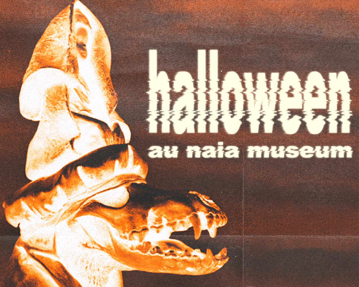 Naia Museum, Rochefort-en-Terre, Brittany