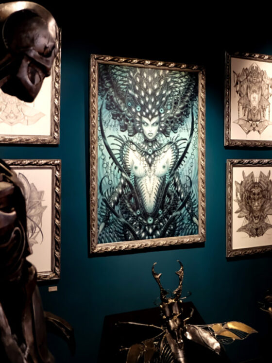 Naia Museum, Rochefort-en-Terre, Brittany