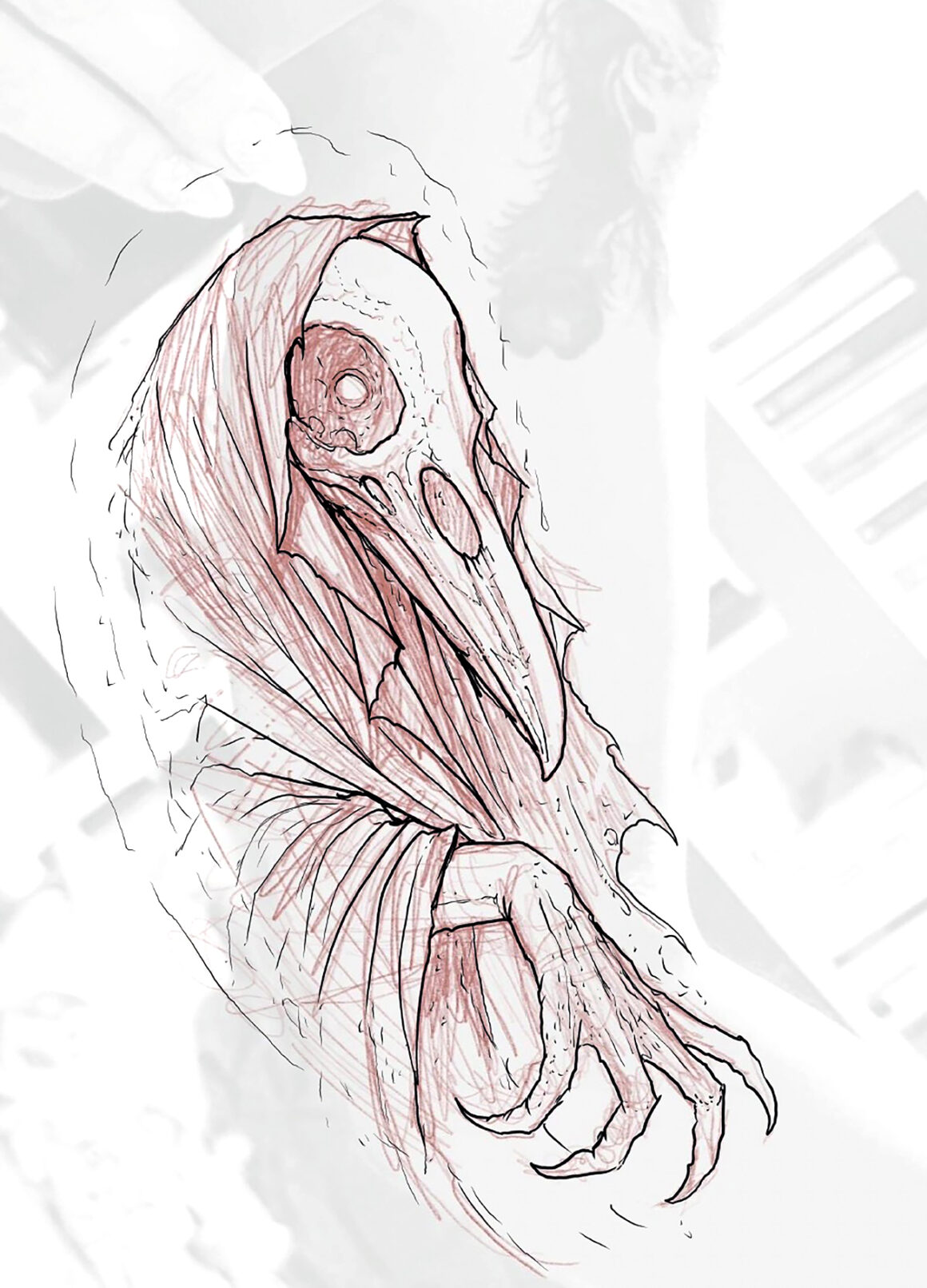 Illustration de Robert Borbas, @grindesgin