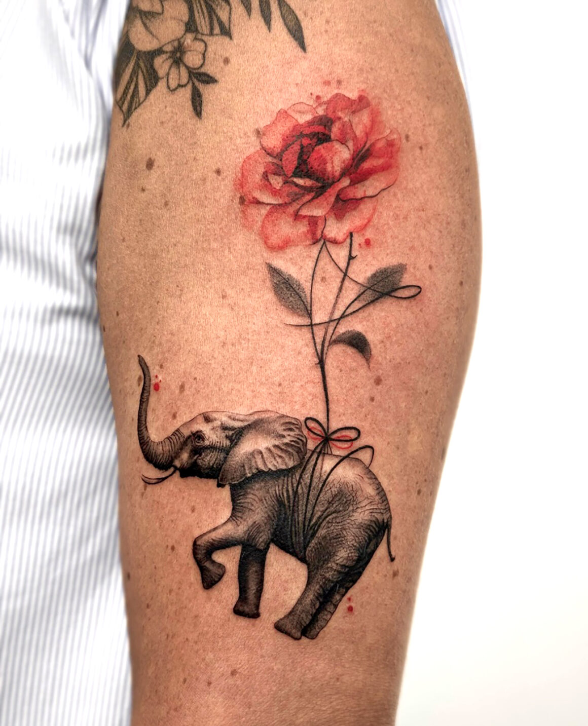 Tattoo by Vanessa Carrer, @vanessacarrer_tattoo