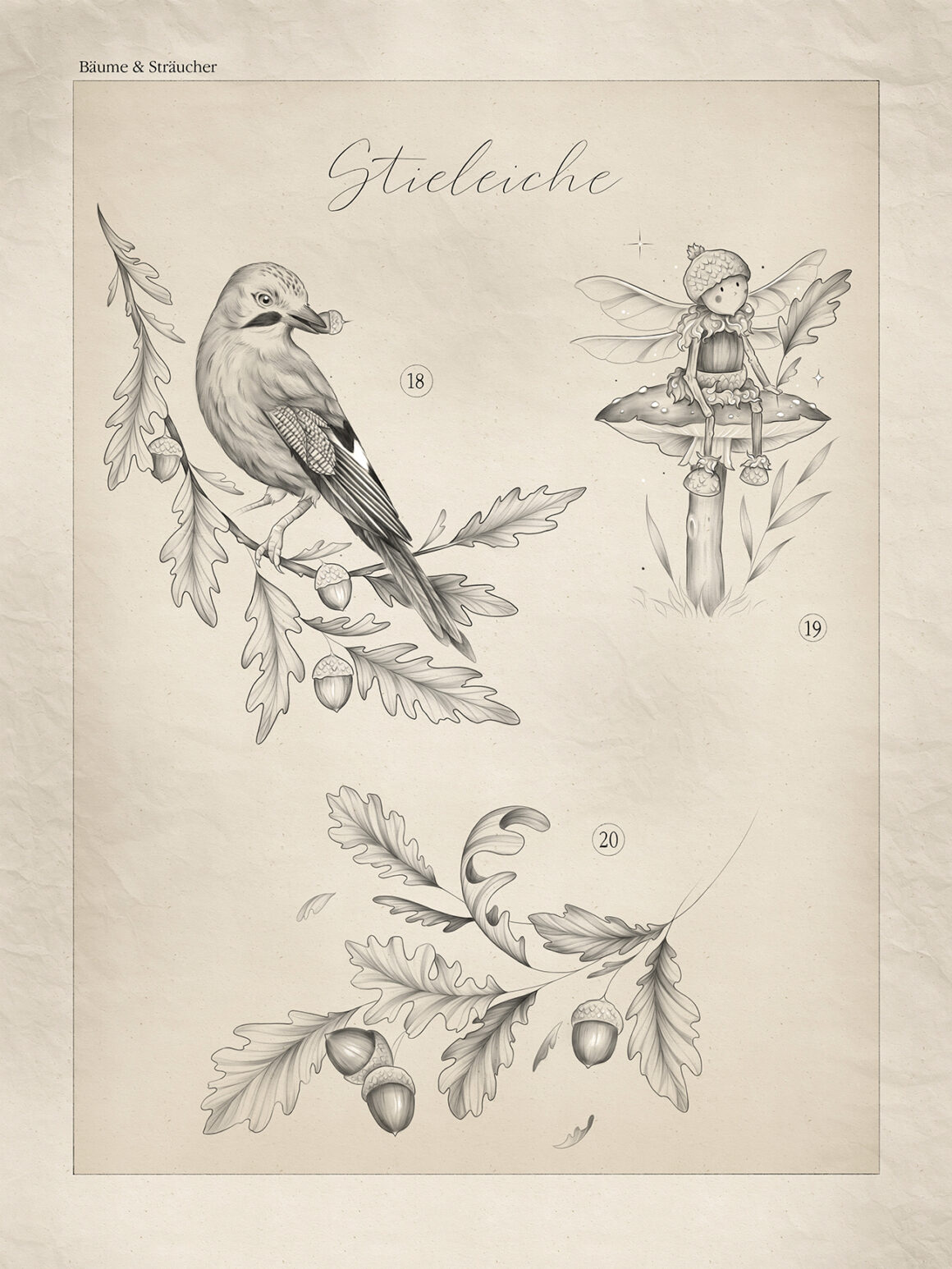 Illustration by Jennifer Leuschke, @reudigerrufus
