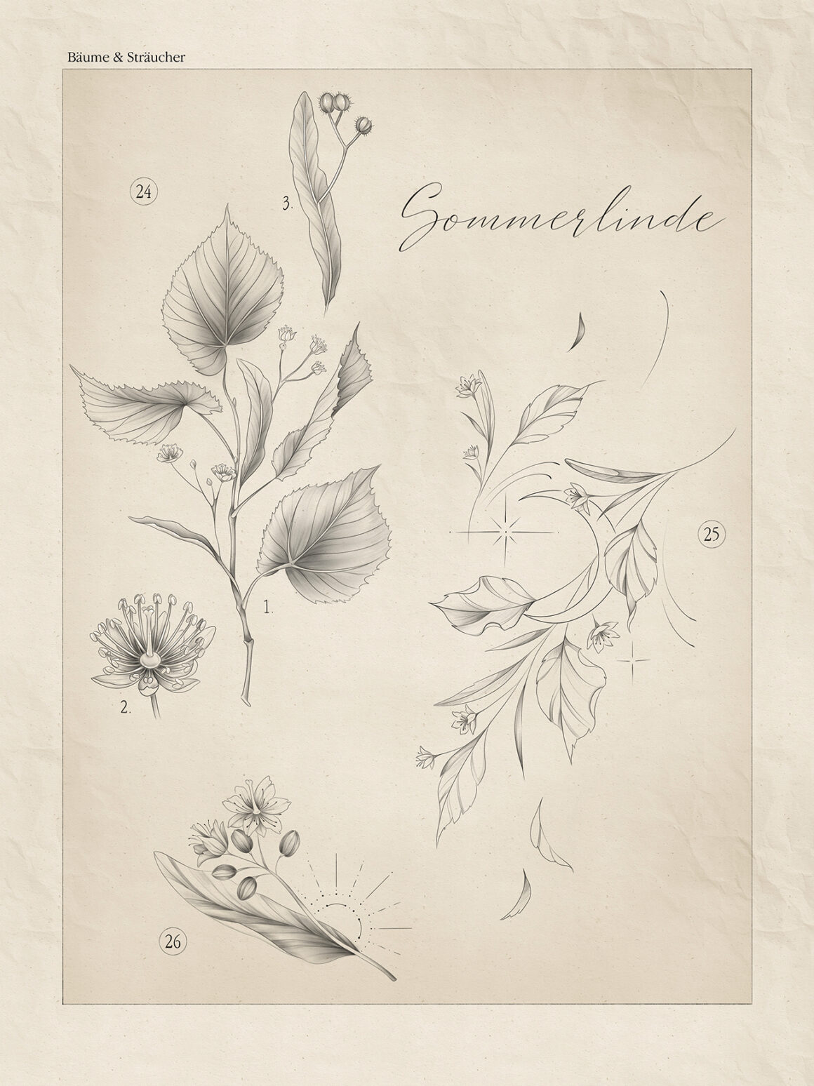 Illustration by Jennifer Leuschke, @reudigerrufus