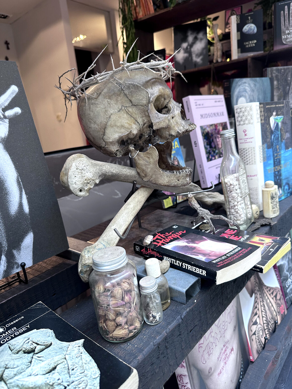 Dieprood Tattoo Shop, ph by Jan van Endert, @dieprood ph. @collectorofskulls
